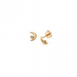 Σκουλαρίκια Senza από επιχρυσωμένο ασήμι 925