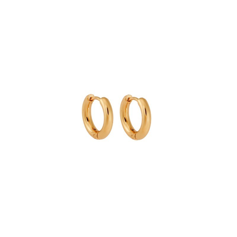 Σκουλαρίκια Γυναικεία SENZA Gold Plated Steel