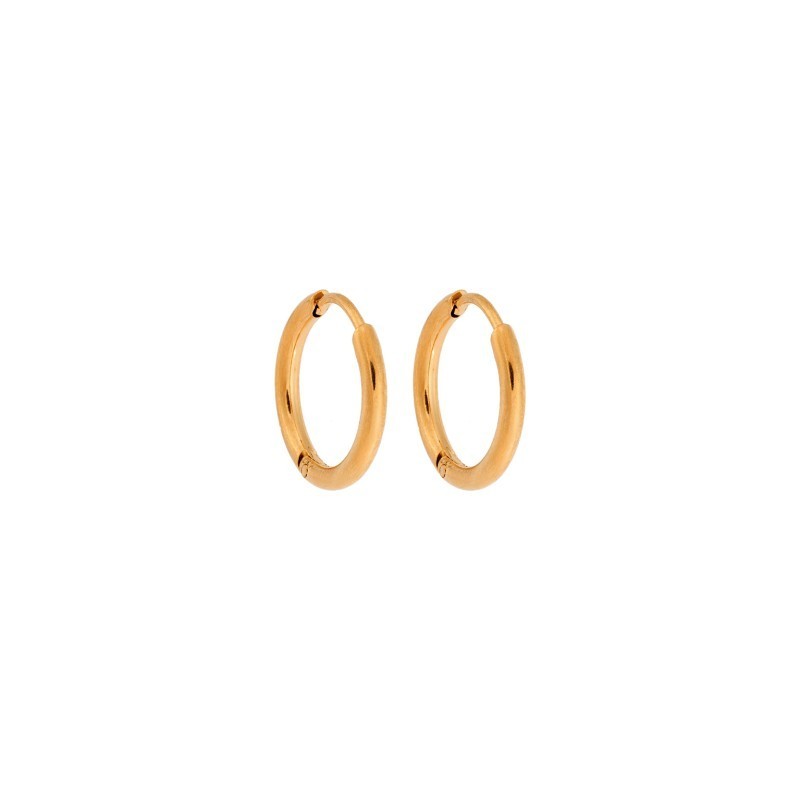 Σκουλαρίκια Γυναικεία SENZA Gold Plated Steel