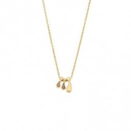 Κολιέ Senza επιχρυσωμένο ασήμι 925 με οικογένεια