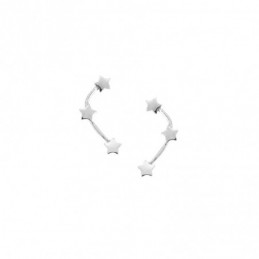 Σκουλαρίκια Γυναικεία SENZA ασήμι 925