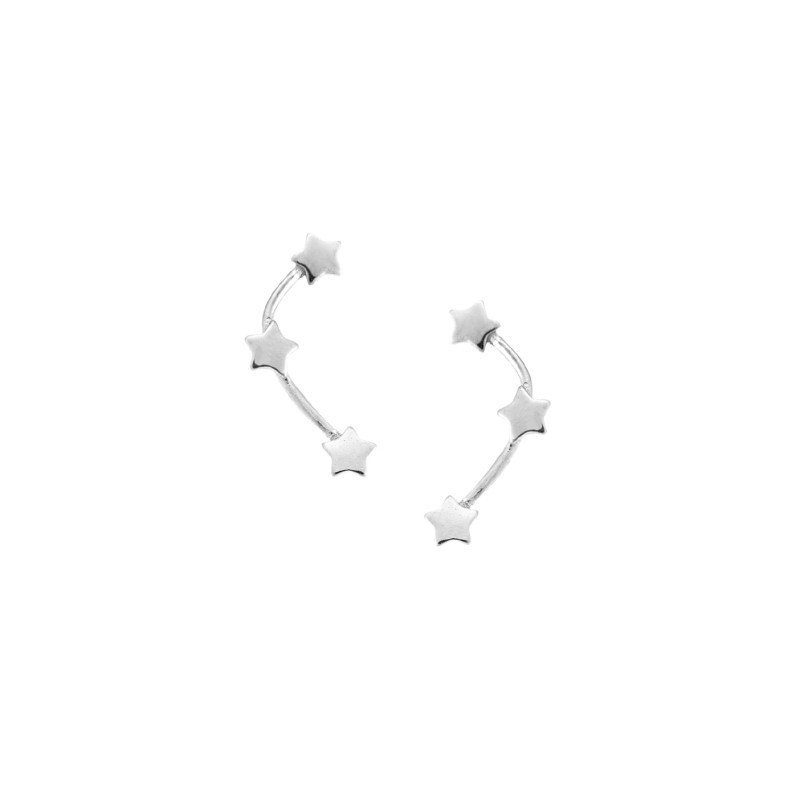 Σκουλαρίκια Γυναικεία SENZA ασήμι 925